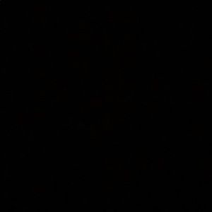 Meet your Posher, Daniela